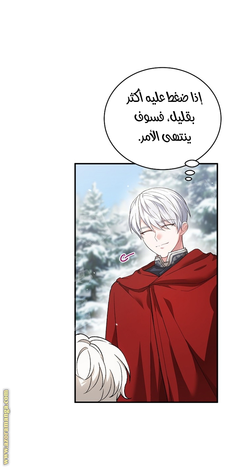 الصفحة 45