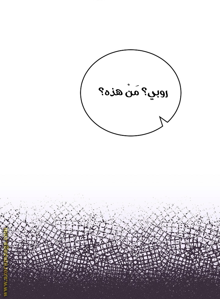 الصفحة 48
