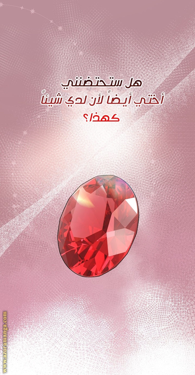 الصفحة 52