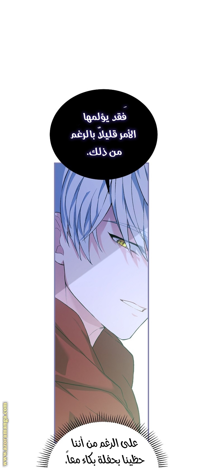 الصفحة 63