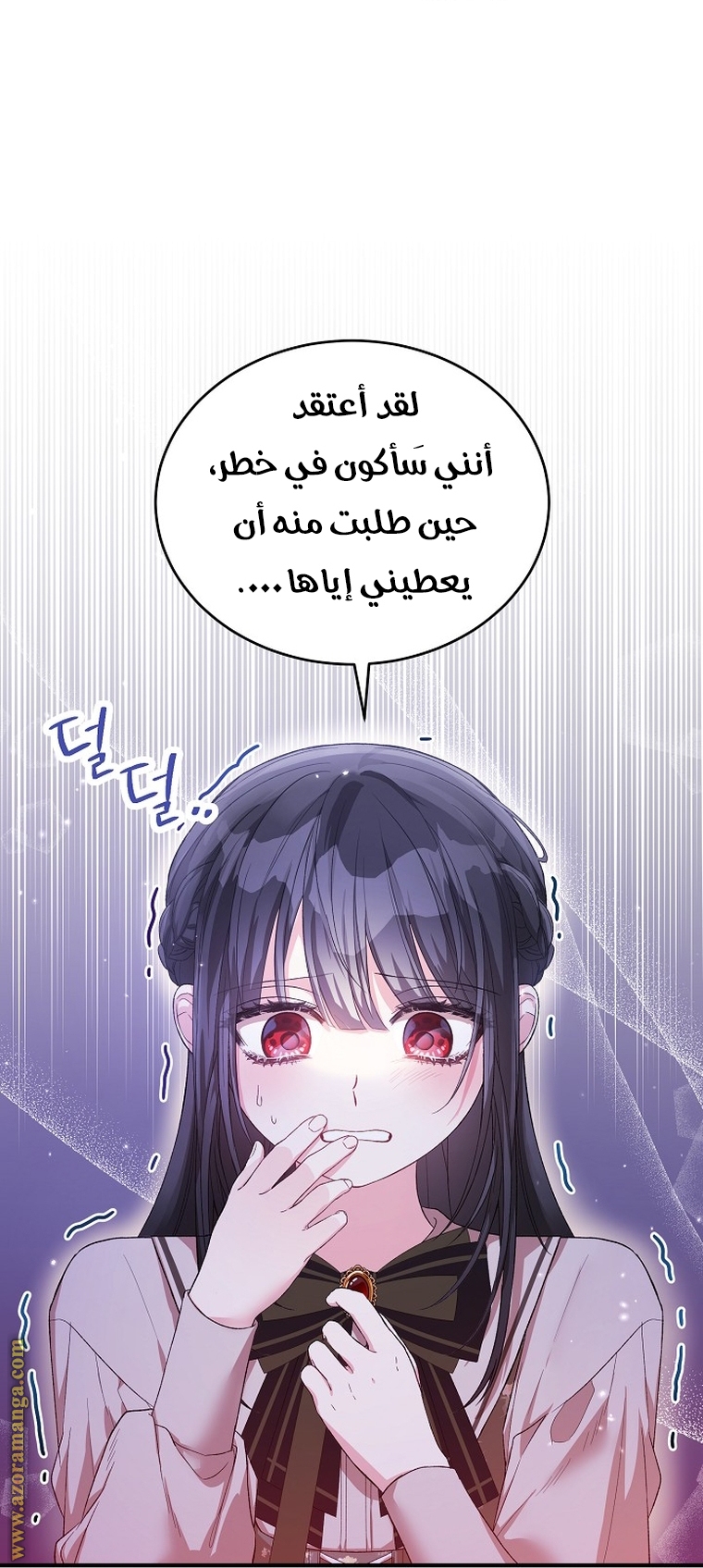 الصفحة 13