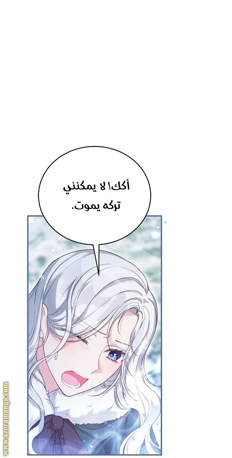 الصفحة 20