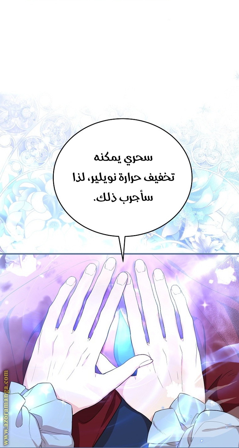 الصفحة 21