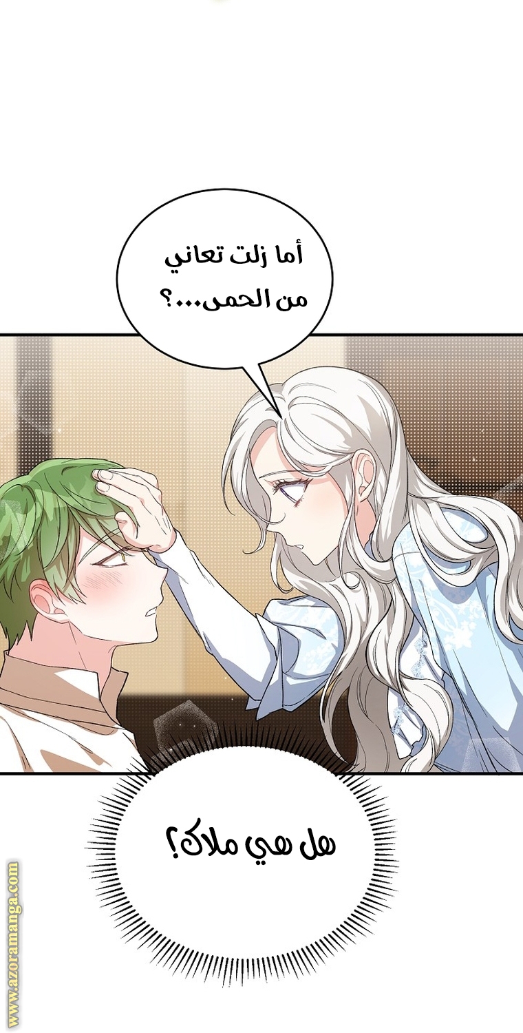 الصفحة 30