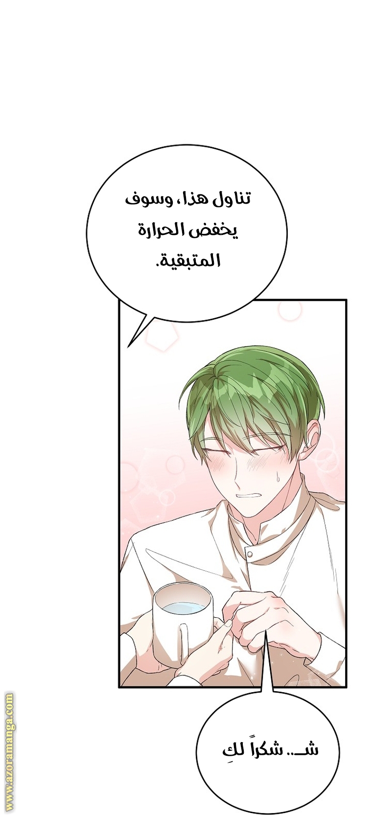 الصفحة 31