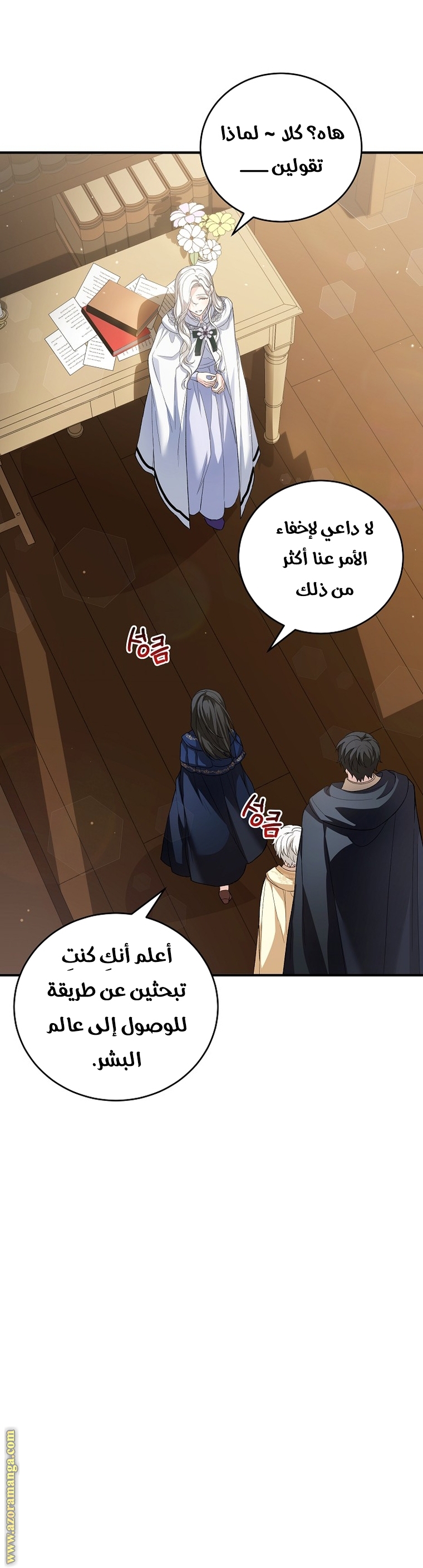 الصفحة 13