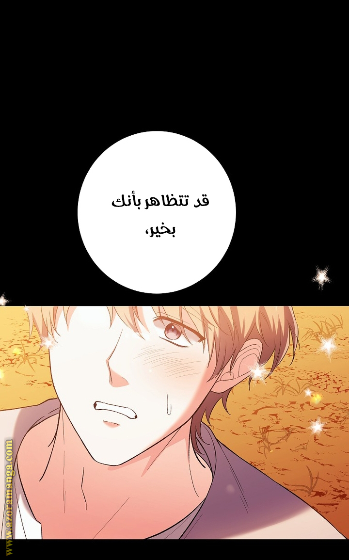 الصفحة 25