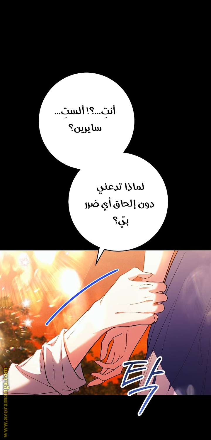 الصفحة 28