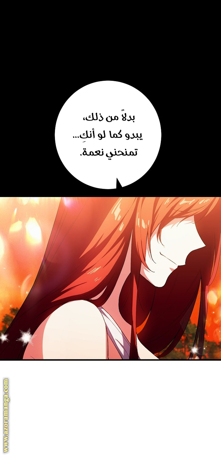 الصفحة 29