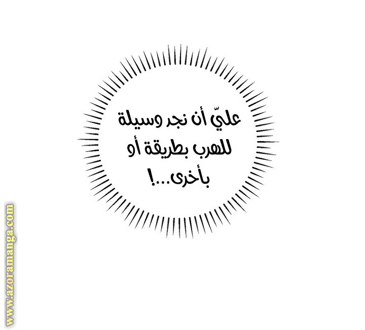 الصفحة 42