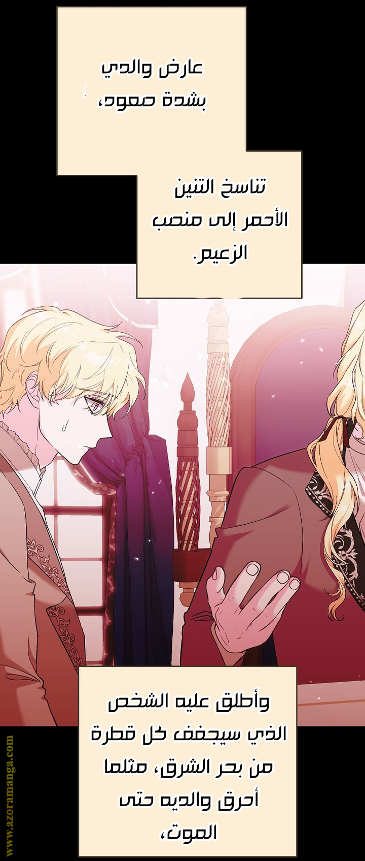 الصفحة 13