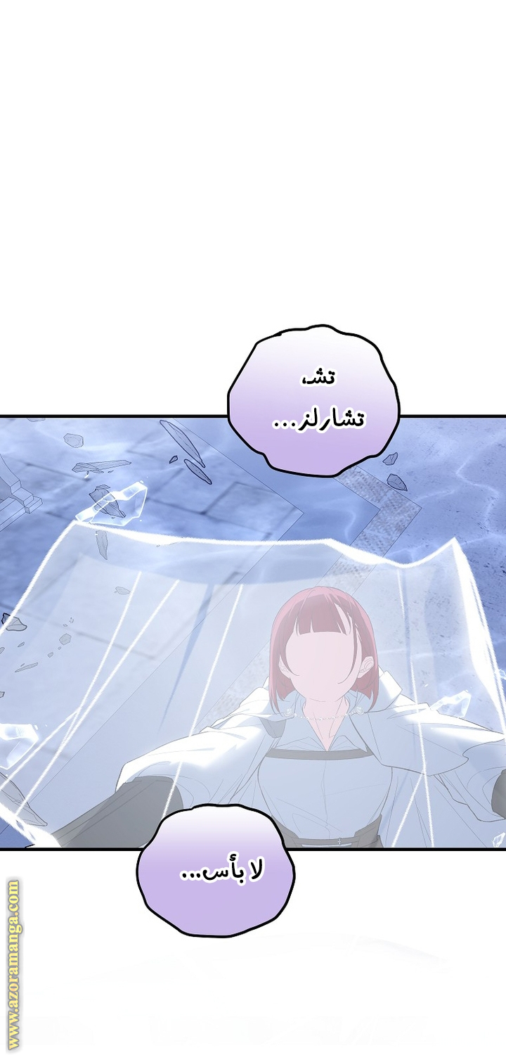 الصفحة 25