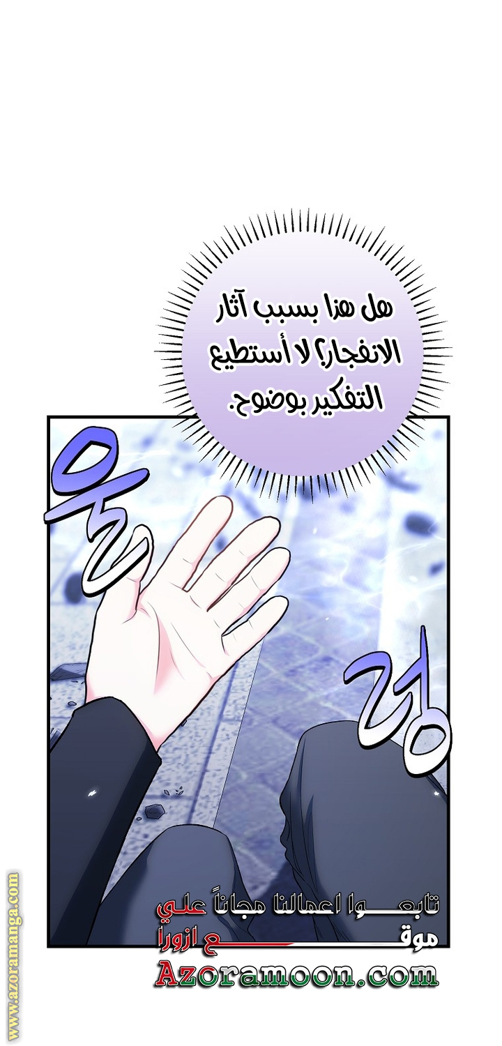 الصفحة 31