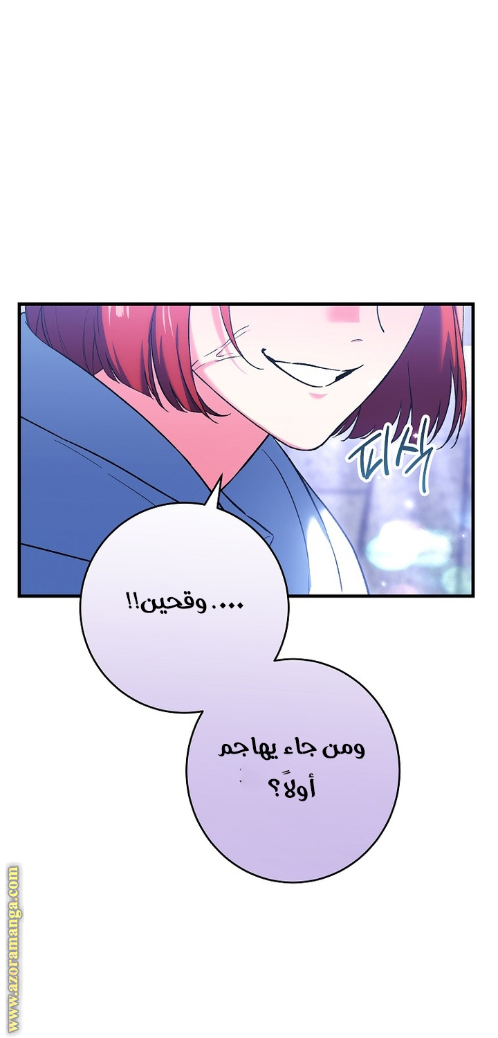 الصفحة 43