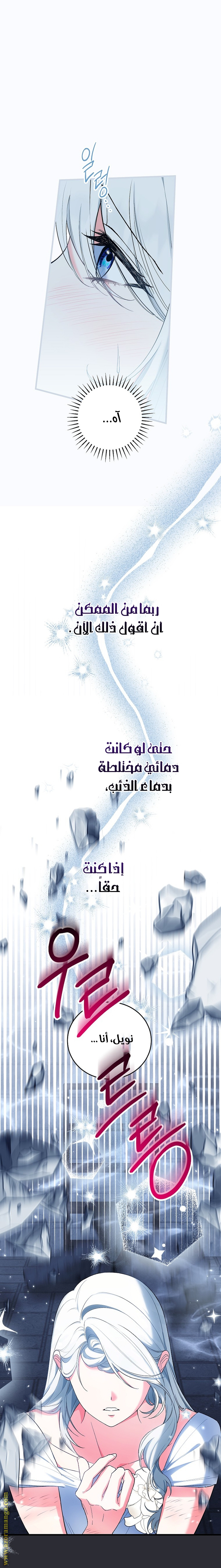 الصفحة 25