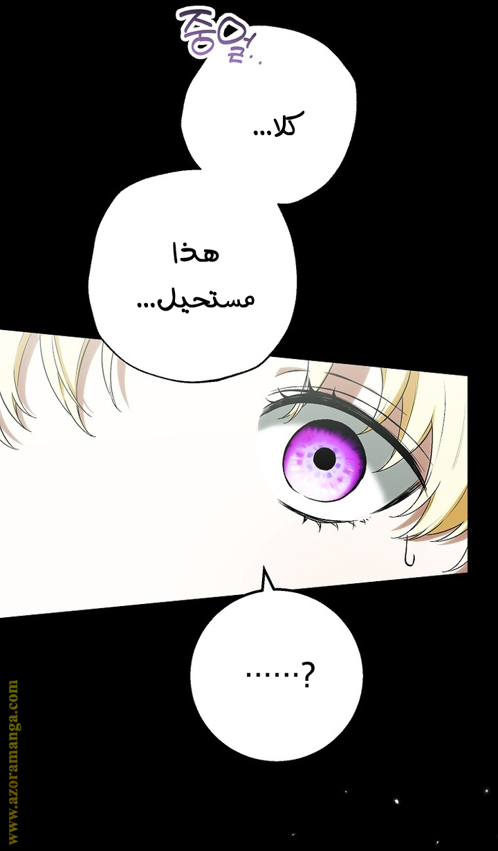 الصفحة 24