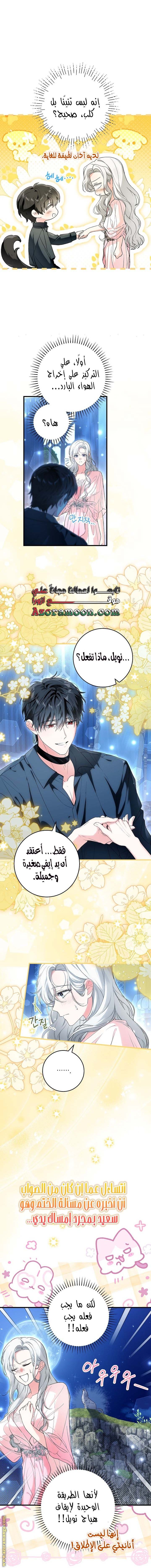 الصفحة 3