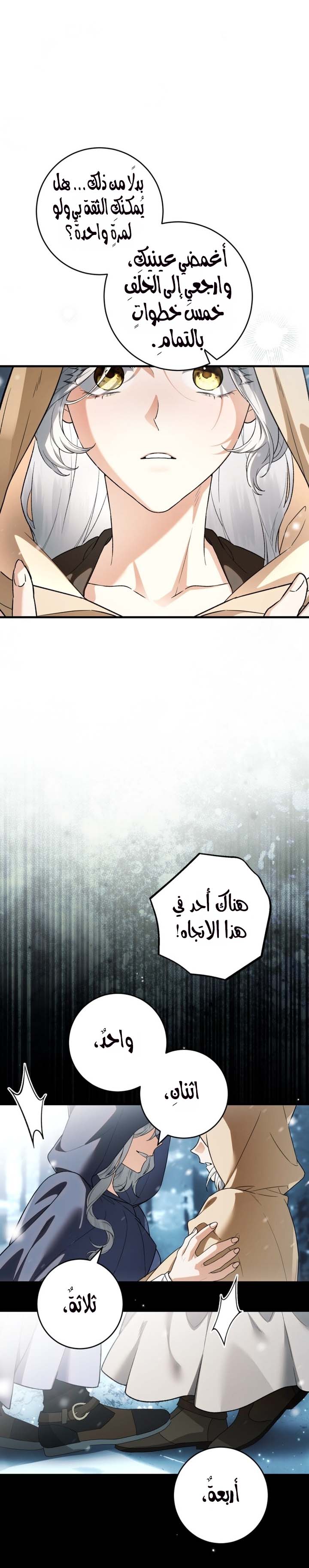 الصفحة 17
