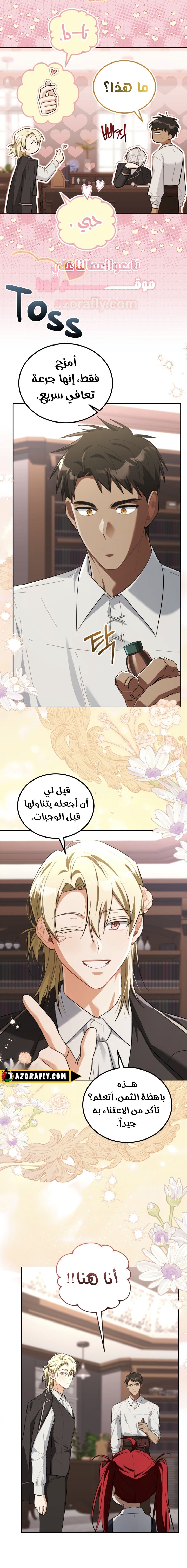 الصفحة 19
