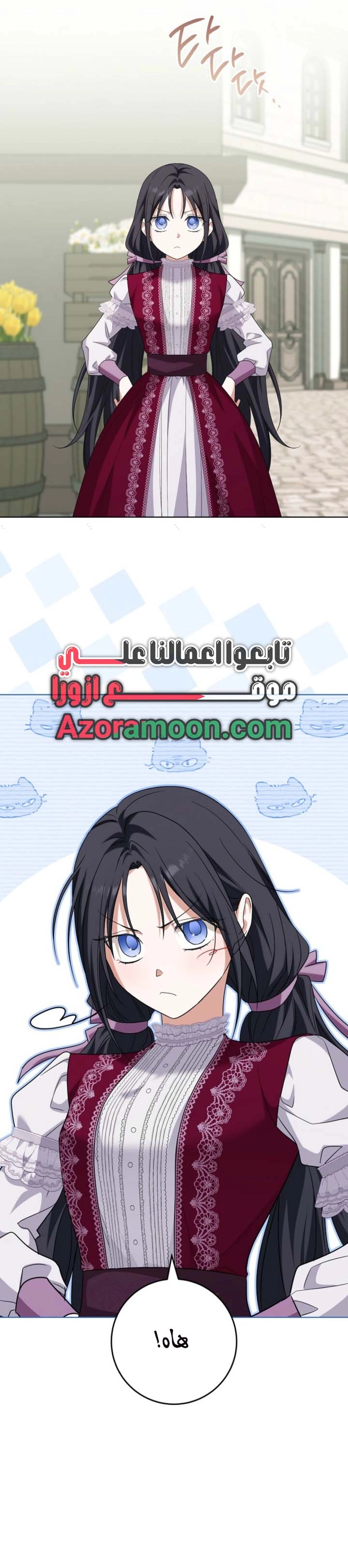 الصفحة 17