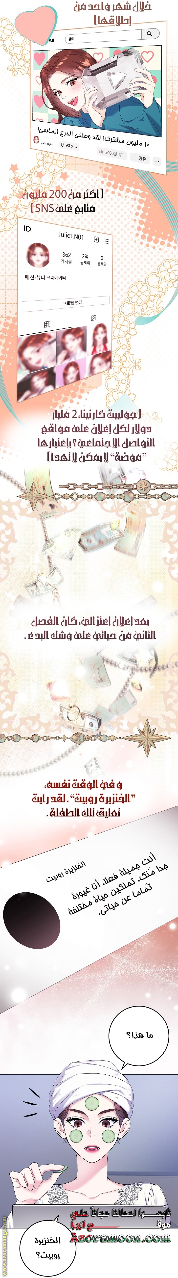 الصفحة 17