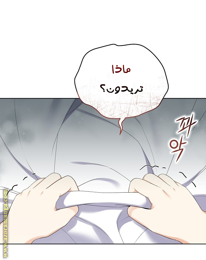الصفحة 24