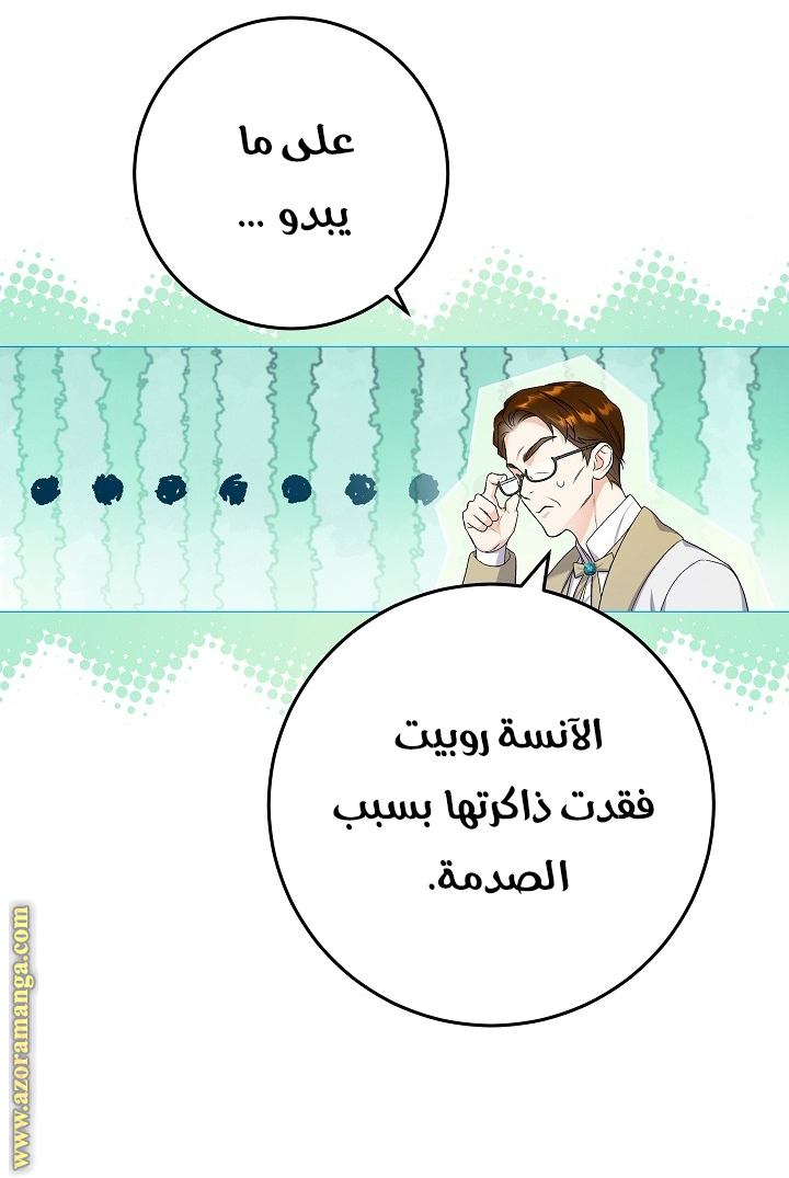 الصفحة 29