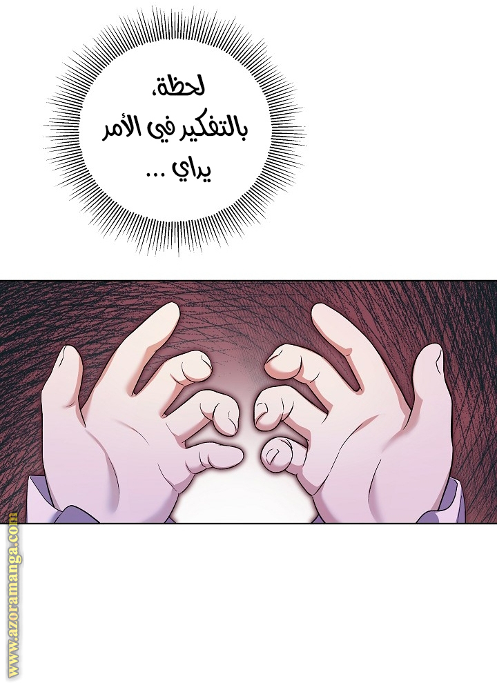 الصفحة 31