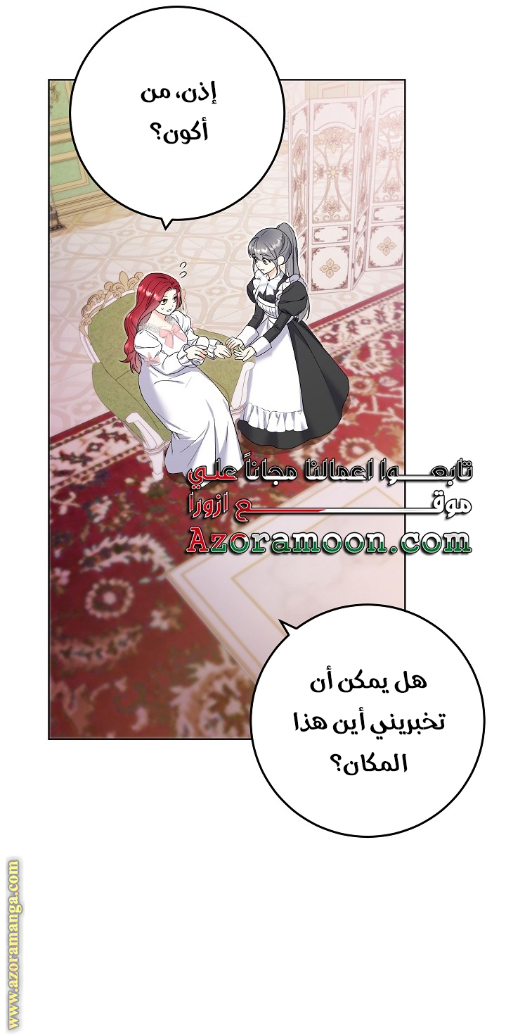 الصفحة 43