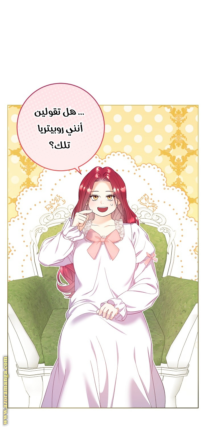 الصفحة 45