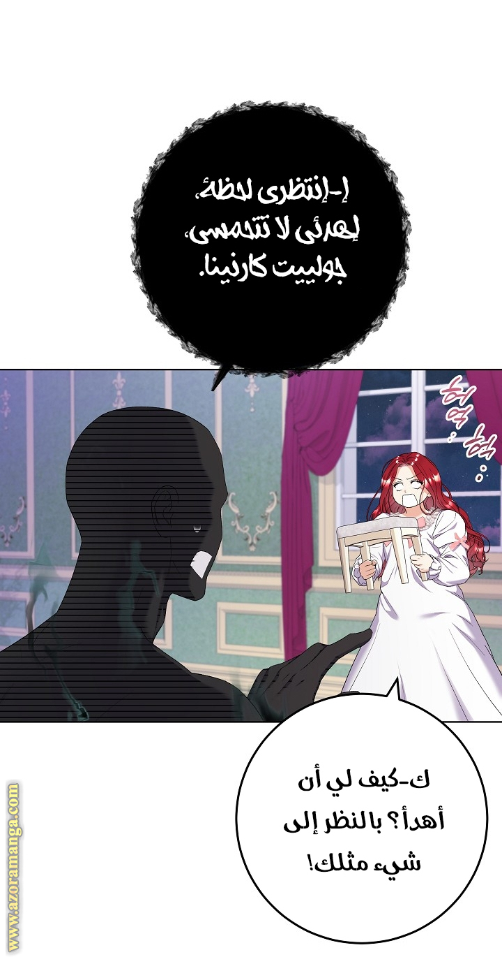 الصفحة 42