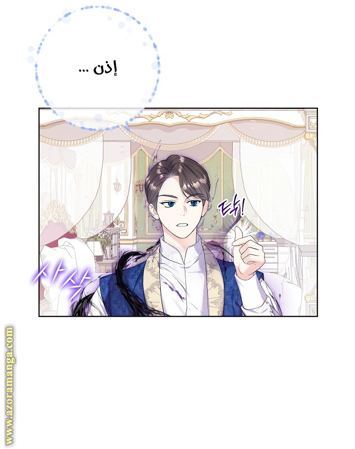 الصفحة 48