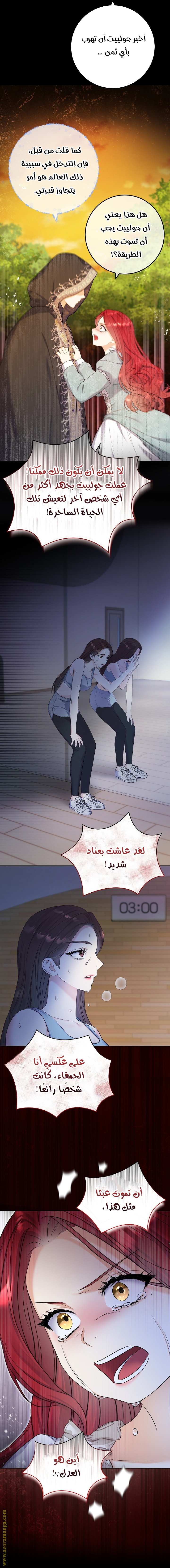 الصفحة 17