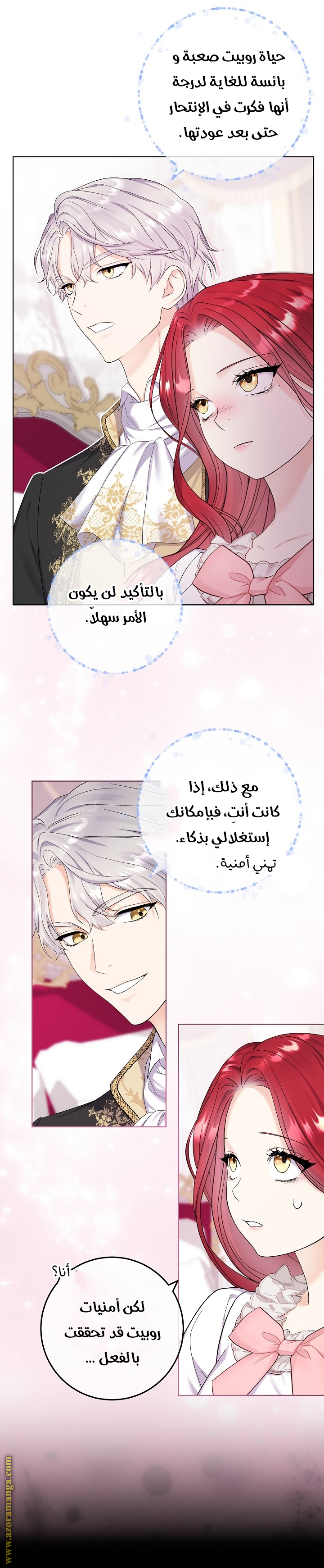 الصفحة 25