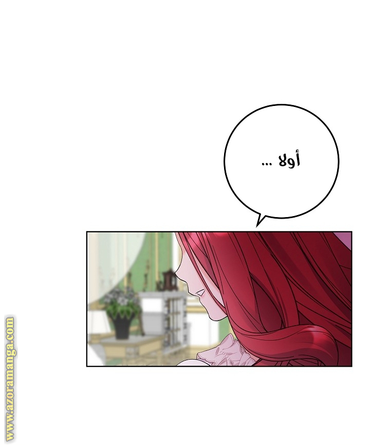 الصفحة 30