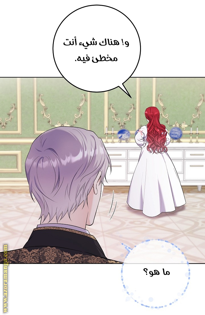 الصفحة 20