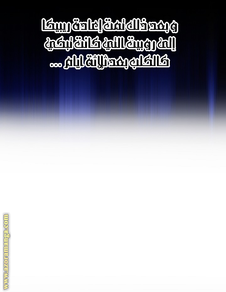 الصفحة 24
