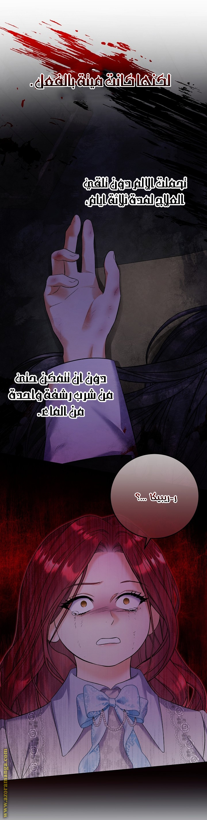 الصفحة 25