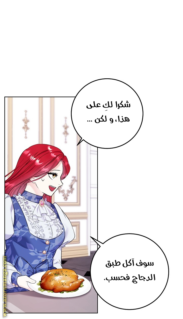 الصفحة 32