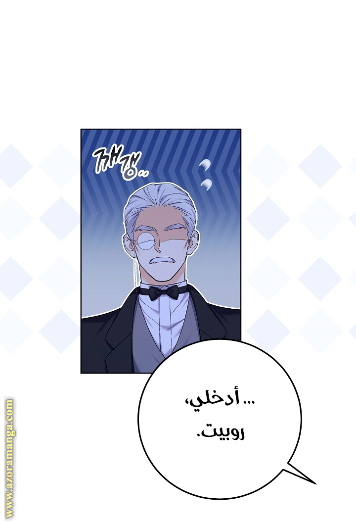 الصفحة 28
