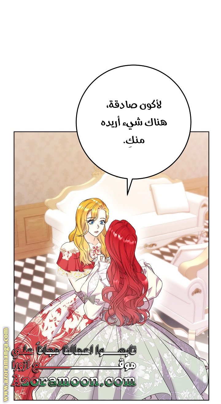 الصفحة 46