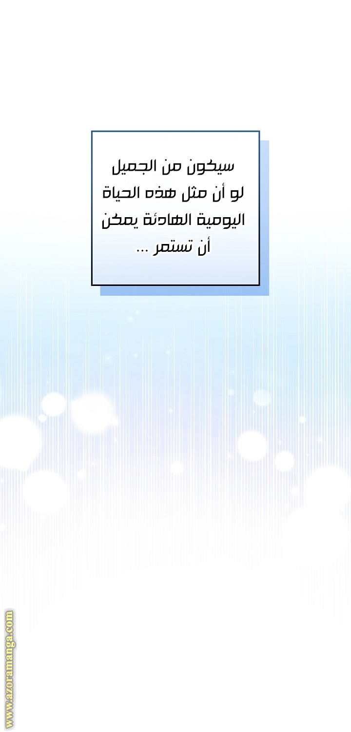 الصفحة 48