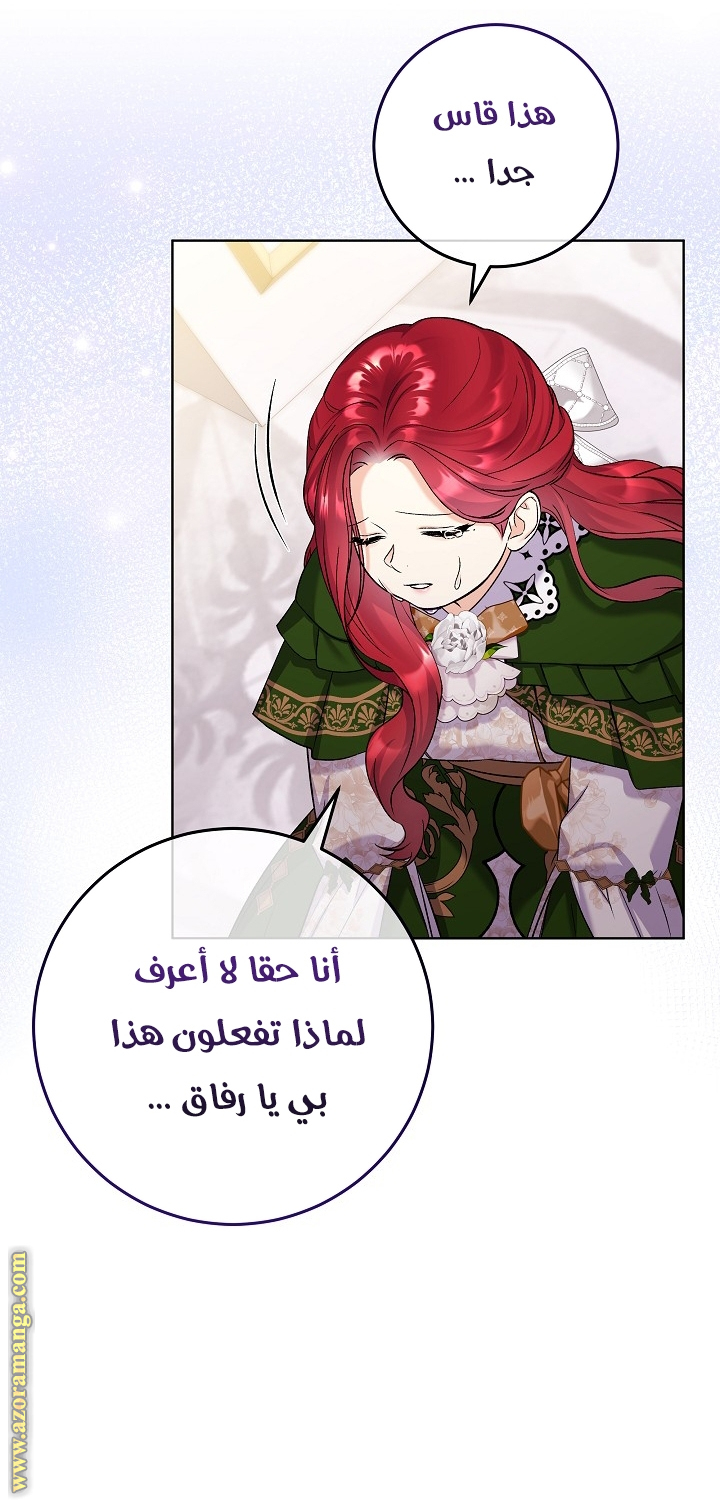 الصفحة 43