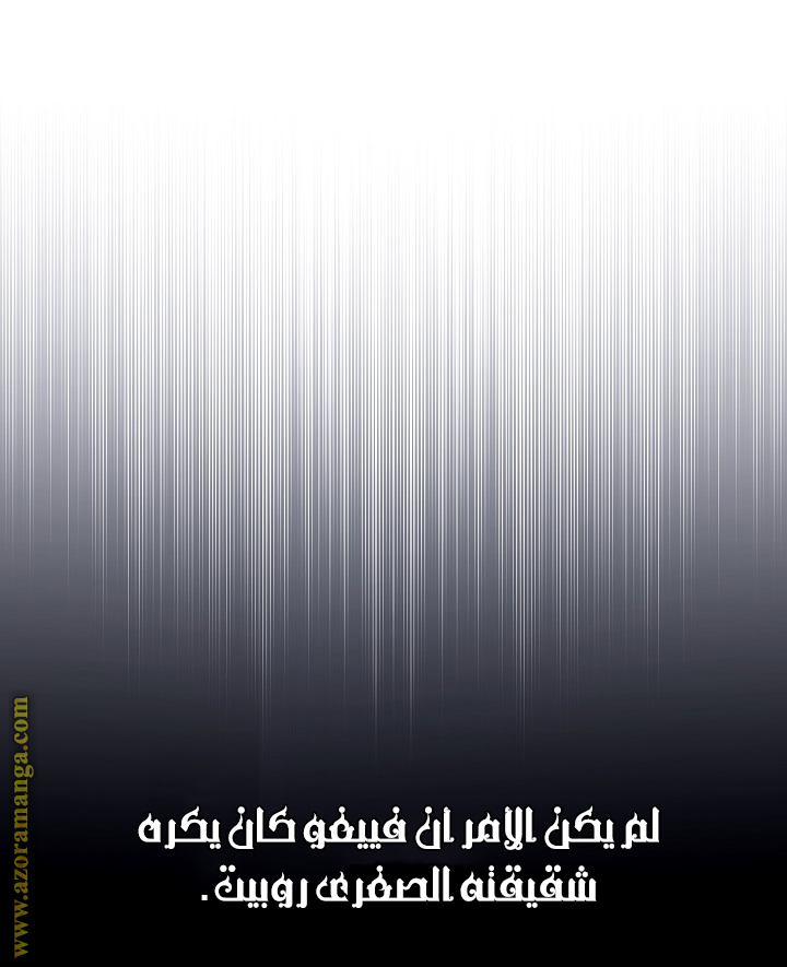 الصفحة 26