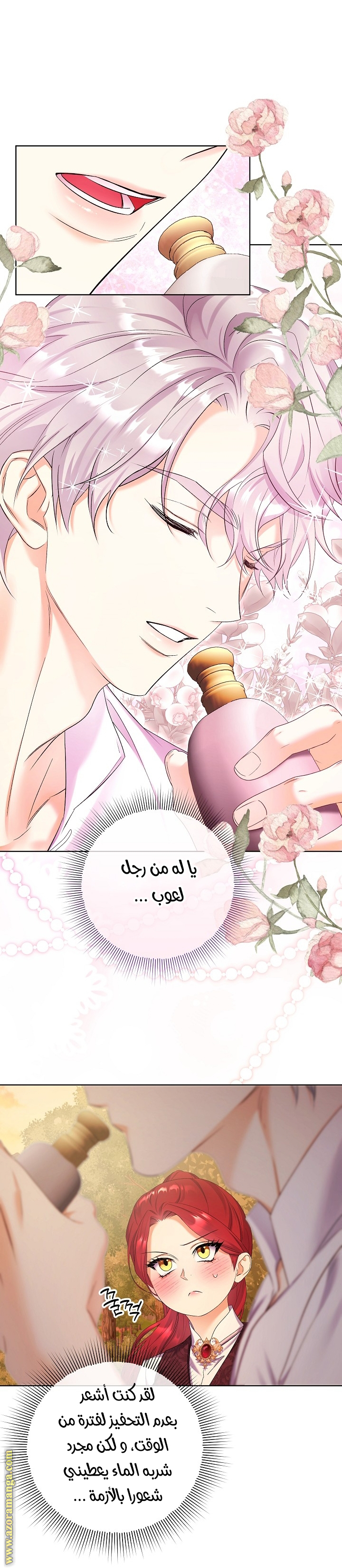 الصفحة 19