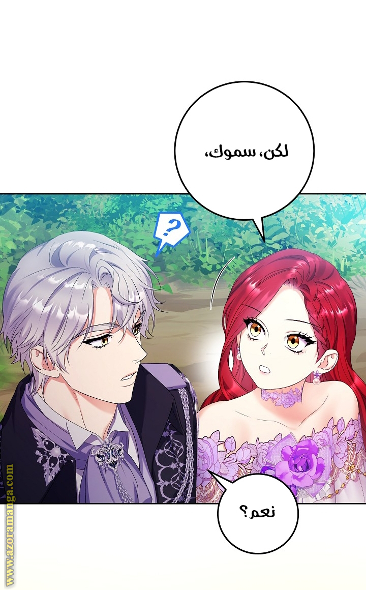 الصفحة 28