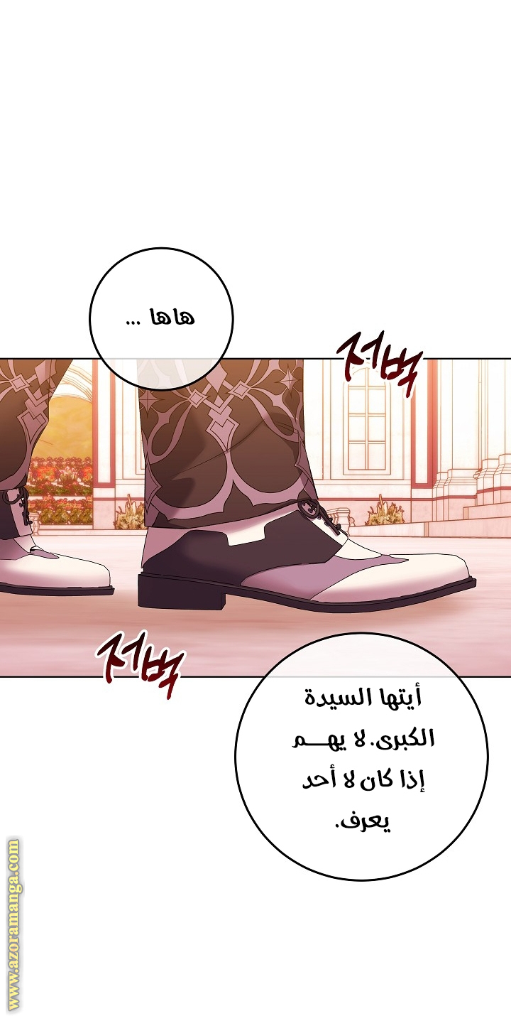 الصفحة 26