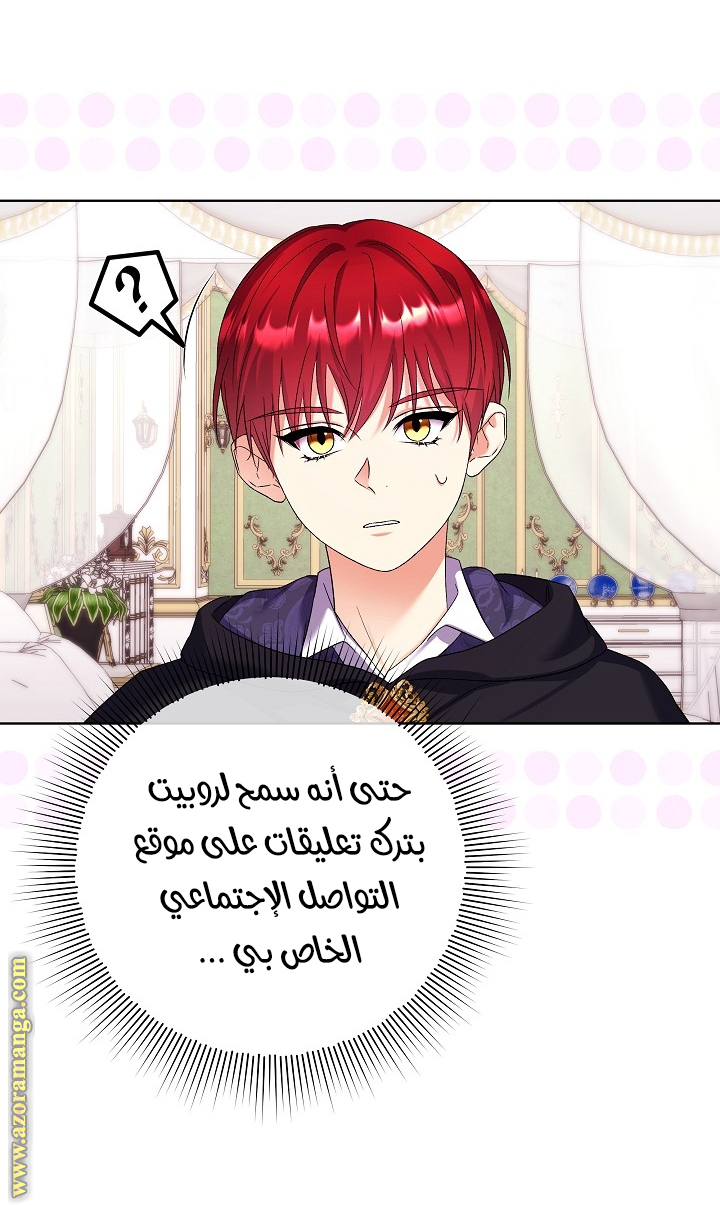 الصفحة 24