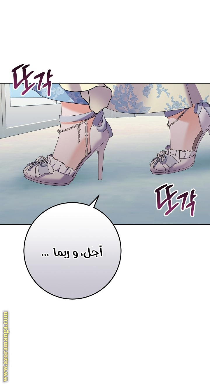 الصفحة 29