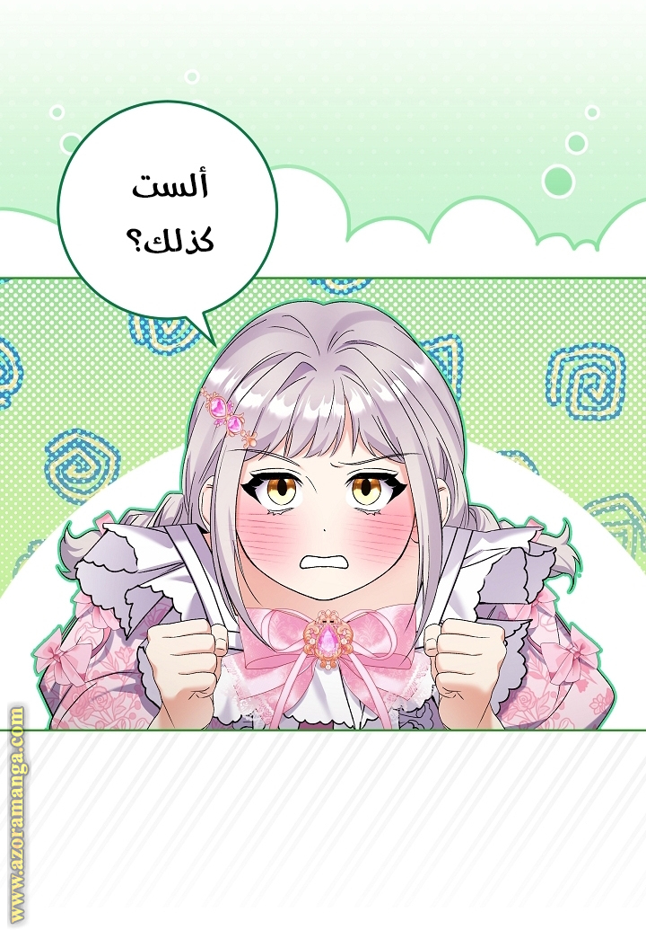 الصفحة 29